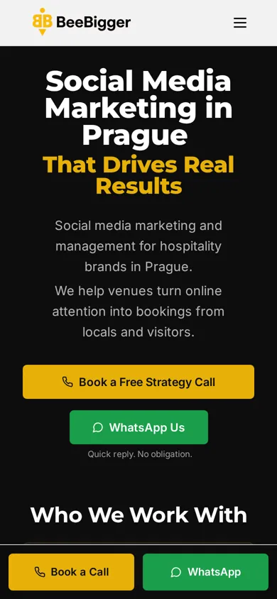 BeeBigger website on mobile